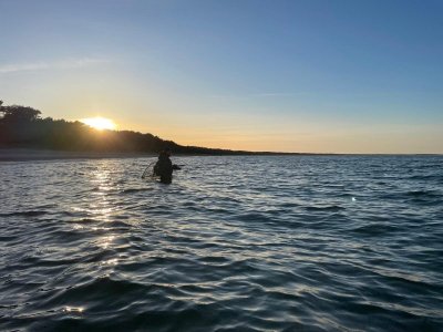 IMG-20250326-WA0005.jpg IMG-20250326-WA0005.jpg