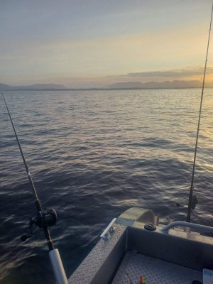 WhatsApp Bild 2025-03-27 um 10.41.58_41913bca.jpg WhatsApp Bild 2025-03-27 um 10.41.58_41913bca.jpg