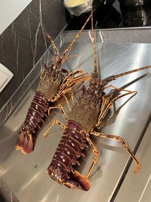 IMG_0022.jpg IMG_0022.jpg