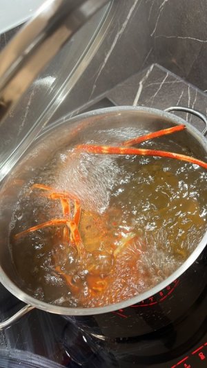 9506E27C-D0AE-4464-8AFA-FAC897242995.JPG 9506E27C-D0AE-4464-8AFA-FAC897242995.JPG