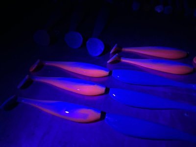 WhatsApp Bild 2025-03-29 um 16.19.56_dbc583b0.jpg