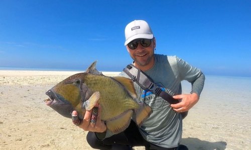 484880e1-605b-44eb-9ee8-d5c94ac34cf8 Nafiu.jpeg