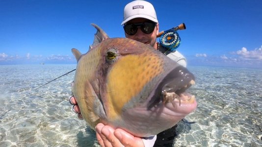 IMG-20250320-WA0019 hape hussain.jpg