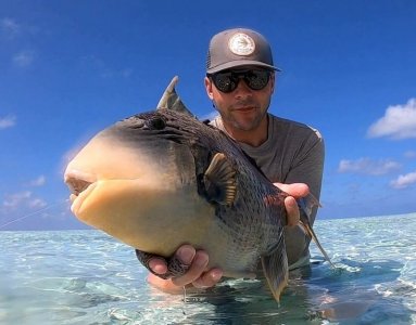 1bce1b9a-6502-4563-9485-4e429472c9e6 Nafiu.jpeg