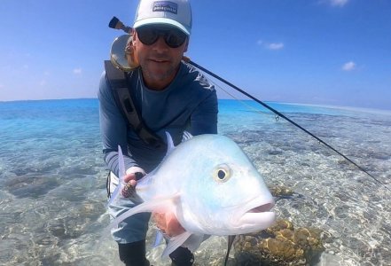 2c3e93d5-66ed-4630-b4cd-513249803236 Nafiu.jpeg