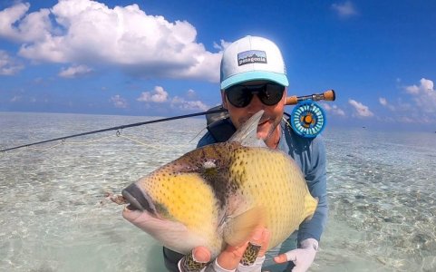 6f135260-20ca-42b1-8ab3-3607ea6961c5 Nafiu.jpeg