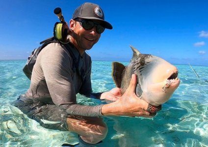 a118de60-5235-4f97-83ef-84aed13478a2 Nafiu.jpeg