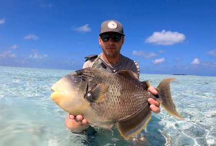 c40d725e-0395-444c-a8f4-83bfae0f05d0 Nafiu.jpeg