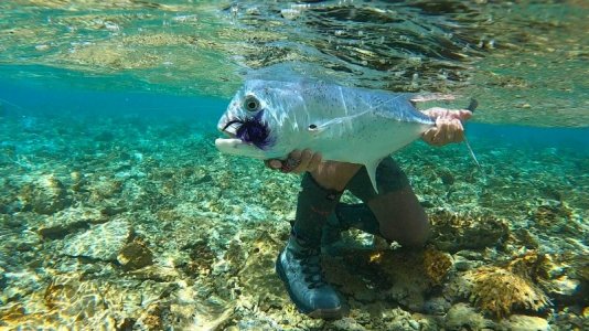 IMG-20250320-WA0024 hape hussain.jpg