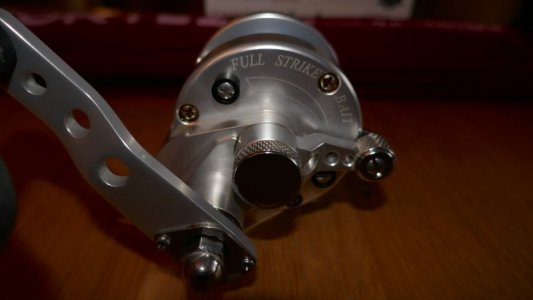 P1230442.JPG
