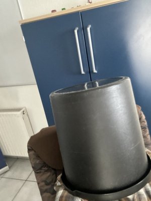 IMG_9776.jpeg IMG_9776.jpeg