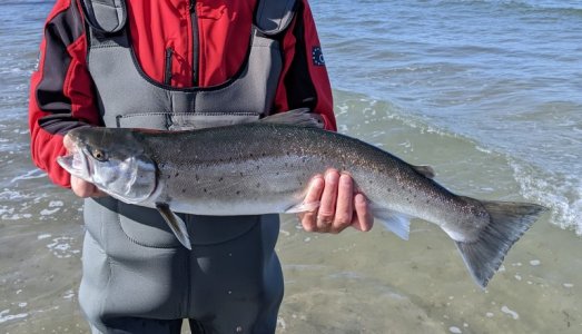 PXL_20250401_092511216.MP~2.jpg PXL_20250401_092511216.MP~2.jpg