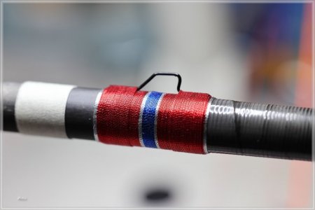 C85A2393.comp.jpg