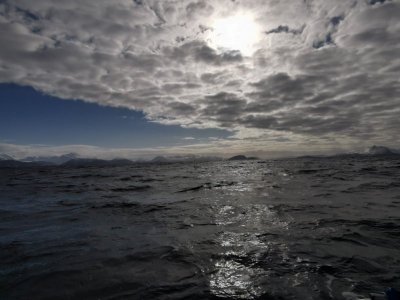 IMG-20250407-WA0008.jpg IMG-20250407-WA0008.jpg