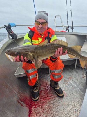 IMG-20250407-WA0013.jpg IMG-20250407-WA0013.jpg