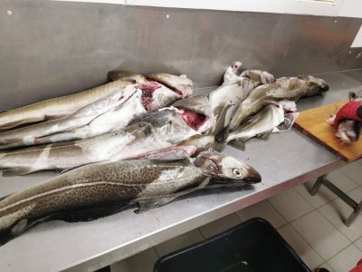 IMG-20250407-WA0015.jpg IMG-20250407-WA0015.jpg