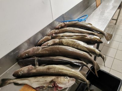 IMG-20250407-WA0016.jpg IMG-20250407-WA0016.jpg