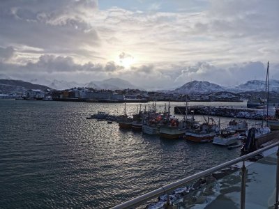 IMG-20250409-WA0003.jpg IMG-20250409-WA0003.jpg