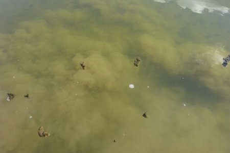 DSC04501.JPG DSC04501.JPG