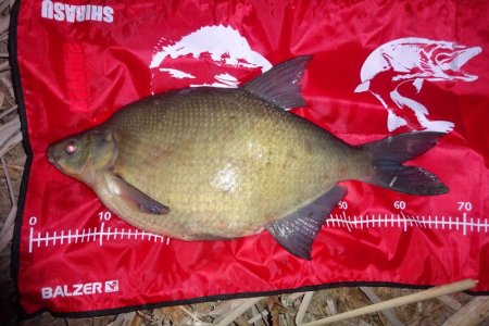 DSC04700.JPG DSC04700.JPG