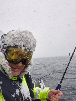 IMG-20250410-WA0001.jpg IMG-20250410-WA0001.jpg