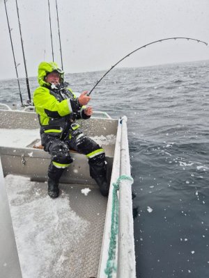 IMG-20250410-WA0002.jpg IMG-20250410-WA0002.jpg