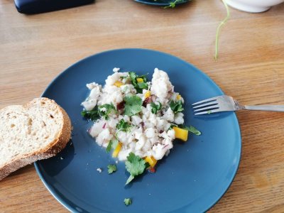 IMG-20250410-WA0012.jpg IMG-20250410-WA0012.jpg