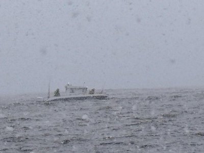 IMG-20250410-WA0007.jpg IMG-20250410-WA0007.jpg