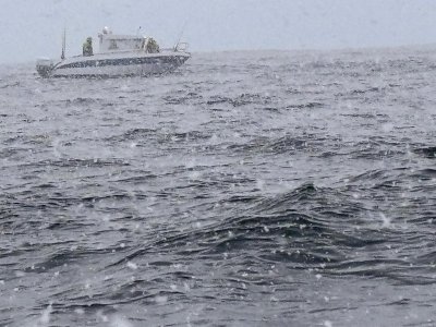 IMG-20250410-WA0008.jpg IMG-20250410-WA0008.jpg