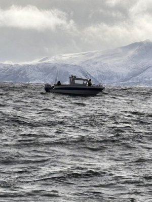 IMG-20250410-WA0009.jpg IMG-20250410-WA0009.jpg