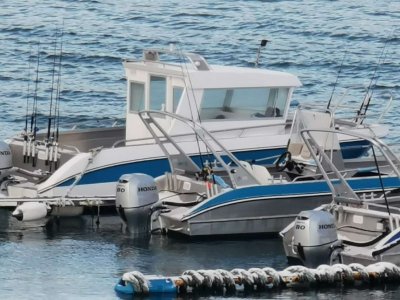 IMG-20250411-WA0003.jpg IMG-20250411-WA0003.jpg