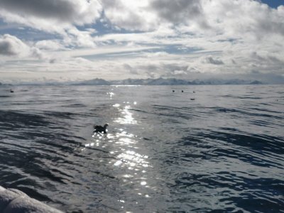 IMG-20250412-WA0001.jpg IMG-20250412-WA0001.jpg