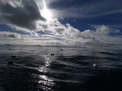 IMG-20250412-WA0000.jpg IMG-20250412-WA0000.jpg