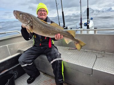 IMG-20250412-WA0005.jpg IMG-20250412-WA0005.jpg