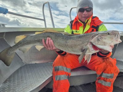 IMG-20250412-WA0004.jpg IMG-20250412-WA0004.jpg