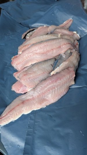 PXL_20250413_120633133.jpg PXL_20250413_120633133.jpg