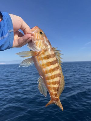 IMG_0457.jpg