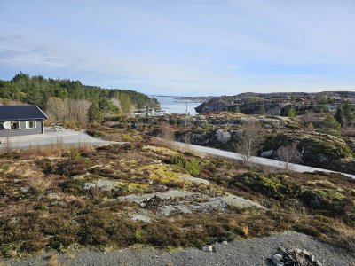 20250415_090547.jpg 20250415_090547.jpg