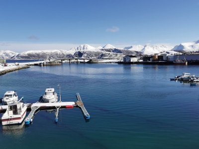 IMG-20250416-WA0000.jpg IMG-20250416-WA0000.jpg