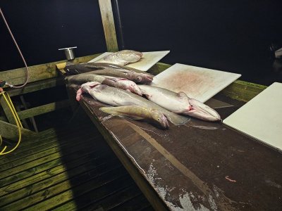 20250416_223819.jpg 20250416_223819.jpg