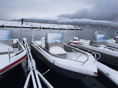 20250420_074851.jpg 20250420_074851.jpg