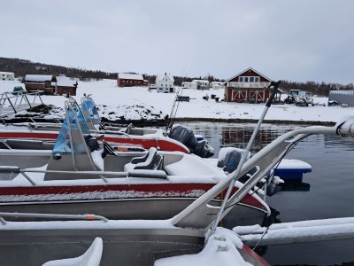 20250420_074942.jpg 20250420_074942.jpg