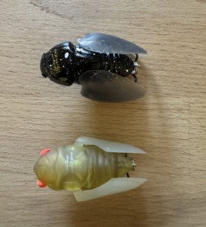 IMG_5922.jpg IMG_5922.jpg