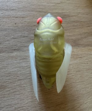 IMG_5923.jpg IMG_5923.jpg