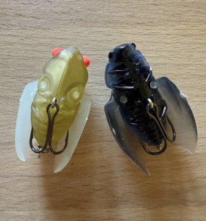 IMG_5925.jpg IMG_5925.jpg