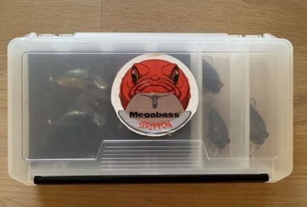 IMG_5927.jpg IMG_5927.jpg