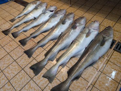 1000005412.jpg 1000005412.jpg