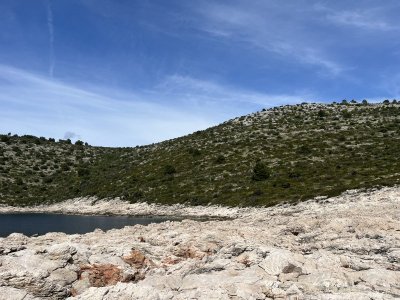 IMG_0535.jpg