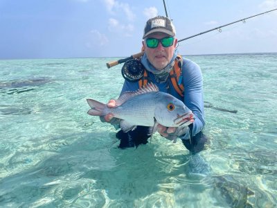 IMG-20250405-WA0010 hape hussain.jpg