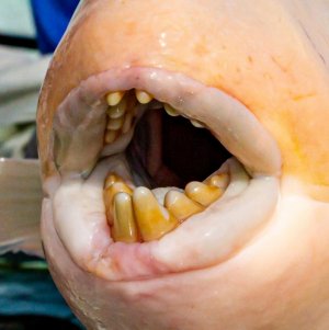 IMG-20250405-WA0004 hape hussain.jpg